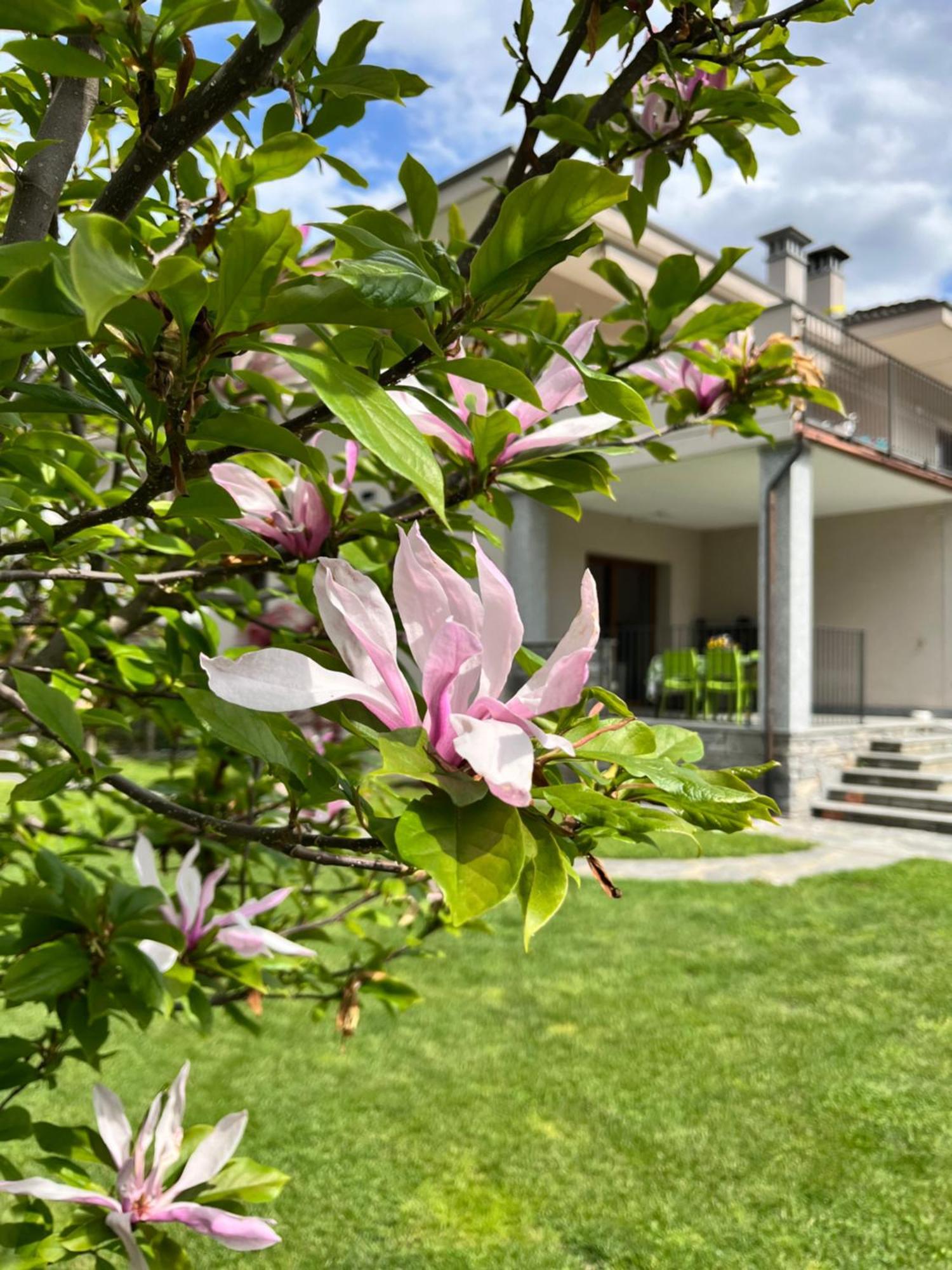 Casa Dolce Casa Apartment Masera